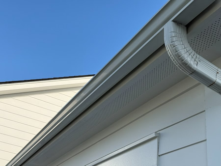 Gutter Cleaning in Mount Pleasant: How Often You Need It With Pine Trees and Coastal Storms