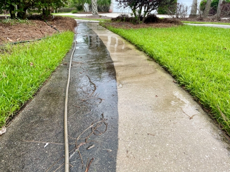 Concrete Cleaning