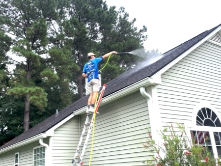 Roof Cleaning